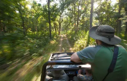 Chitwan Jungle Safari